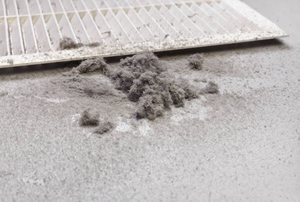 Best Dryer Vent Cleaning Services  in Arthurdale, WV