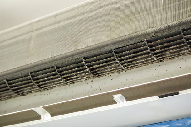 Best Air Duct Cleaning Near Me  in Arthurdale, WV